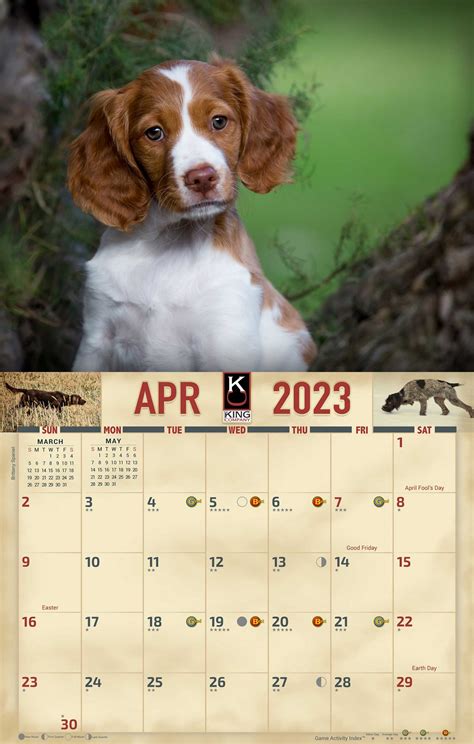 2023 Dog Wall Calendar